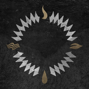 the album cover for Our Hollow, Our Home - Burn In The Flood Deluxe (Blk) [Colored Vinyl] (Gol) [Limited Edition]