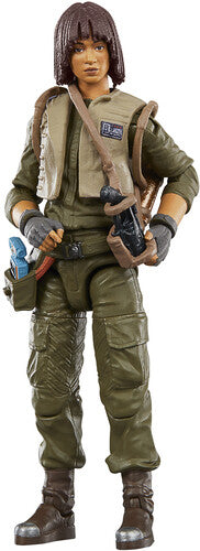 Sw Vin Graduate - Sw Vin Graduate - Collectibles