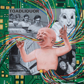 the album cover for Toadliquor - Back In The Hole