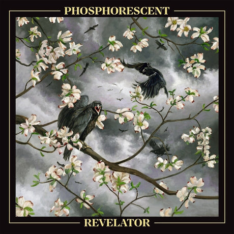 the album cover for Phosphorescent - Revelator [LP]