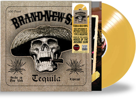 the album cover for Brand New Sin - Tequila