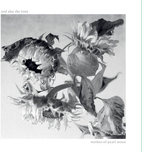 the album cover for And Also The Trees - Mother-Of-Pearl Moon (Uk)
