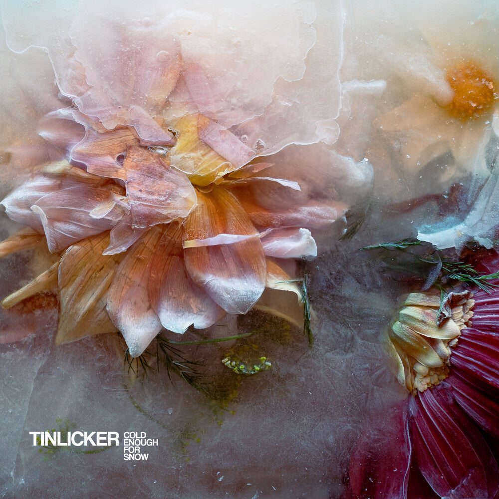the album cover for Tinlicker - Cold Enough For Snow