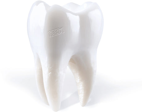 the album cover for Porij - Teething