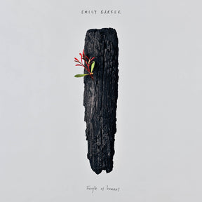 the album cover for Emily Barker - Fragile As Humans - Purple [Colored Vinyl] (Purp)