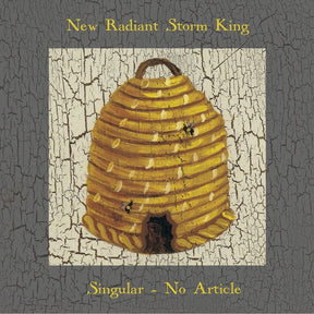the album cover for New Radiant Storm King - Singular No Article [Limited Edition]