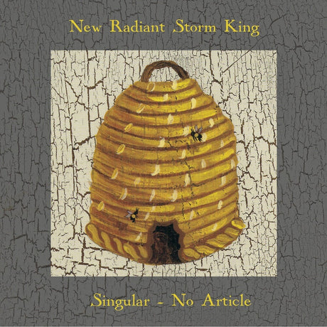 the album cover for New Radiant Storm King - Singular No Article [Limited Edition]