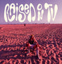 the album cover for Raised on TV - Strangers In Pictures