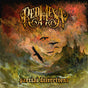 the album cover for Red Mesa - Partial Distortions