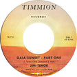 the album cover for Jimi Enor  & Cold Diamond & Mink - Gaia Sunset