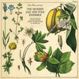 the album cover for Sean Khan - Sean Khan Presents The Modern Folk & Jazz Ensemble