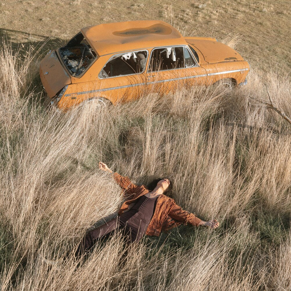 the album cover for Lawrence Rothman - Plow That Broke The Plains