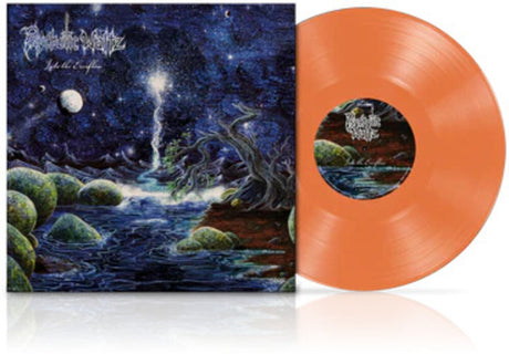 the album cover for Psychotic Waltz - Into The Everflow [Colored Vinyl] (Gate) [Limited Edition] (Org) (Ger)