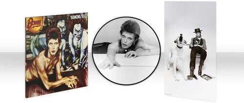 Diamond Dogs (50th Anniversary Picture Disc) (Vinyl)