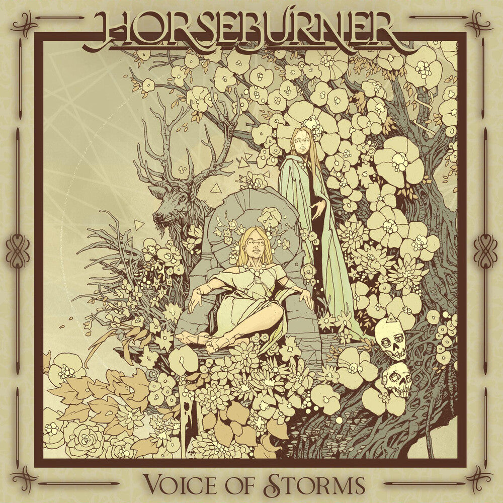 Voice Of Storms [LP]