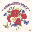 the album cover for Jim Lauderdale - Long & Lonesome Letting Go