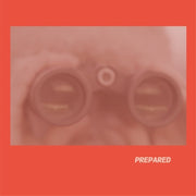 the album cover for Laura Martin  J - Prepared - Rose Pink Vinyl (Uk)