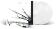 the album cover for Tenhi - Vare (Bonus Tracks) [Clear Vinyl] (Gate) [Limited Edition] (Ofgv)