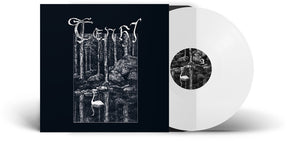 the album cover for Tenhi - Kertomuksia / Hallavedet [Clear Vinyl] [Limited Edition] (Ofgv)
