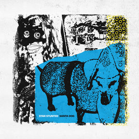 the album cover for Star Stunted - Santa Dog [Colored Vinyl] (Ylw)