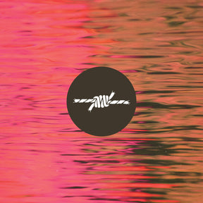 the album cover for Silverstein - Dead Reflection