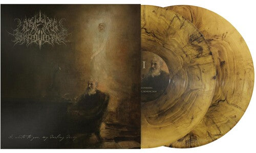 I Write To You My Darling Decay (Vinyl)