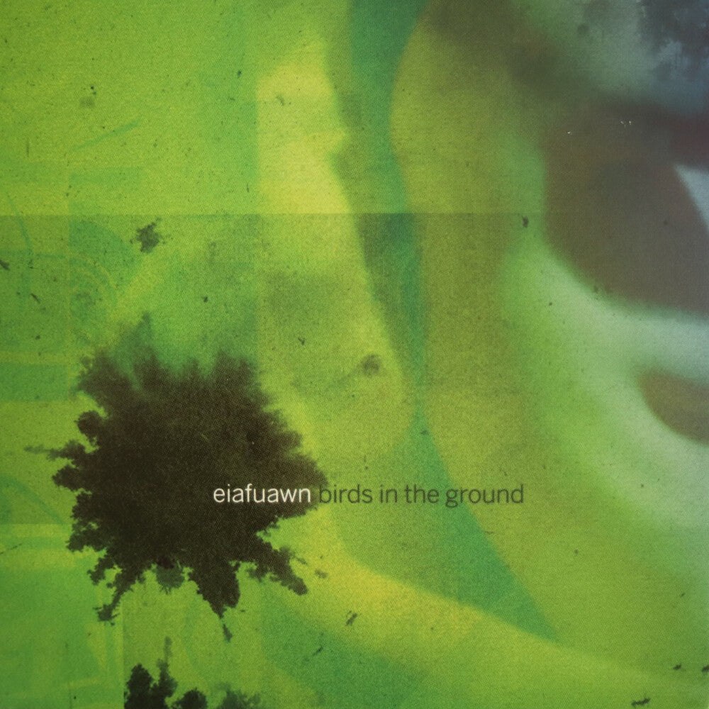 Birds In The Ground [CD]