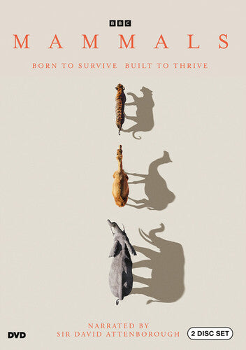 Mammals - Mammals - DVD