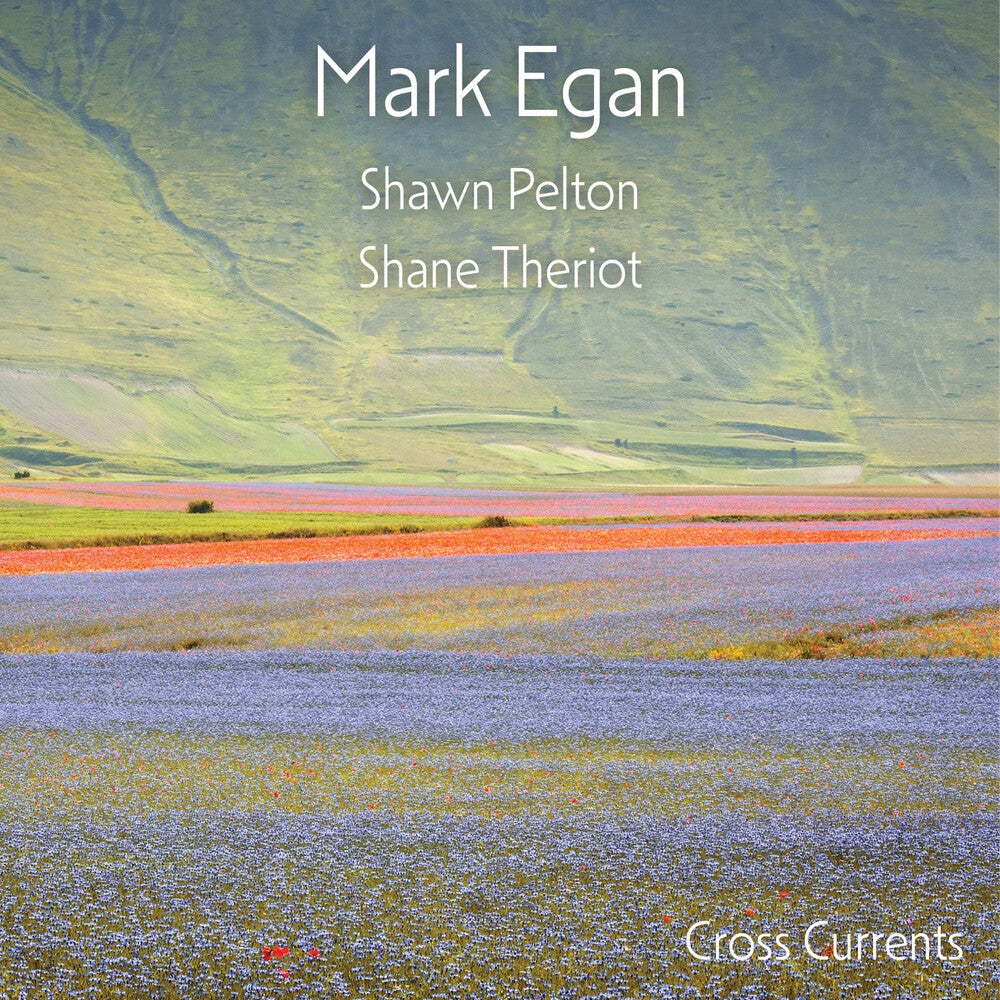 the album cover for Mark Egan - Cross Currents [180 Gram]