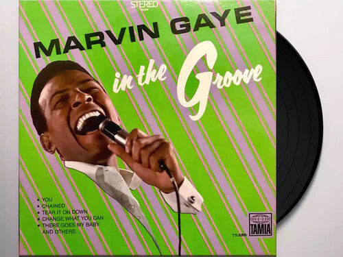 In The Groove (Vinyl)