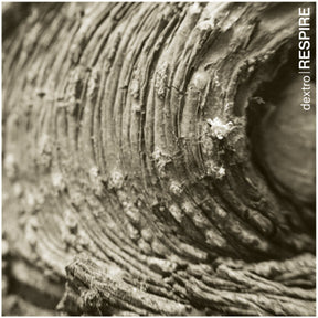 the album cover for Dextro - Respire [Colored Vinyl] (Grn) (Uk)