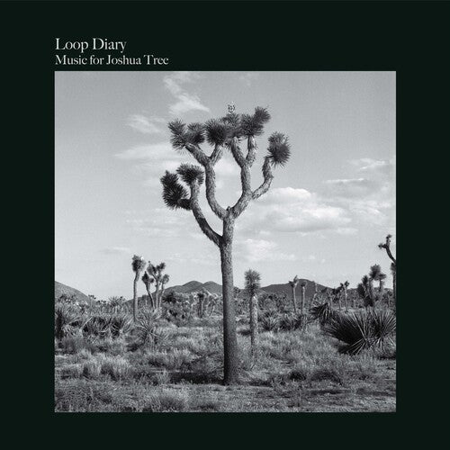 Music For Joshua Tree (Vinyl)