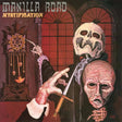 the album cover for Manilla Road - Mystification