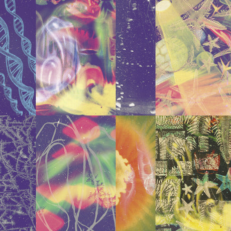 the album cover for Nap Eyes - Neon Gate