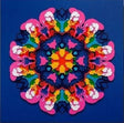 the album cover for Joyce - Voyce [Colored Vinyl] (Ylw) (Uk)