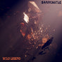 the album cover for Sandcastle - Wild Legend