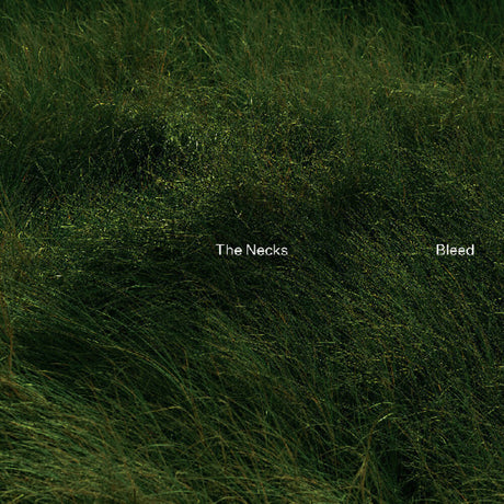 the album cover for Necks - Bleed