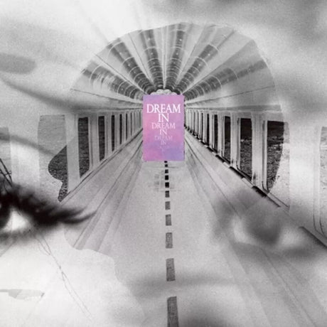 the album cover for Cornelius - Dream In Dream (Jpn)