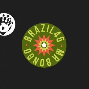 the album cover for Magalhaes / Os Panteras - Xango / Lambada Pauleira