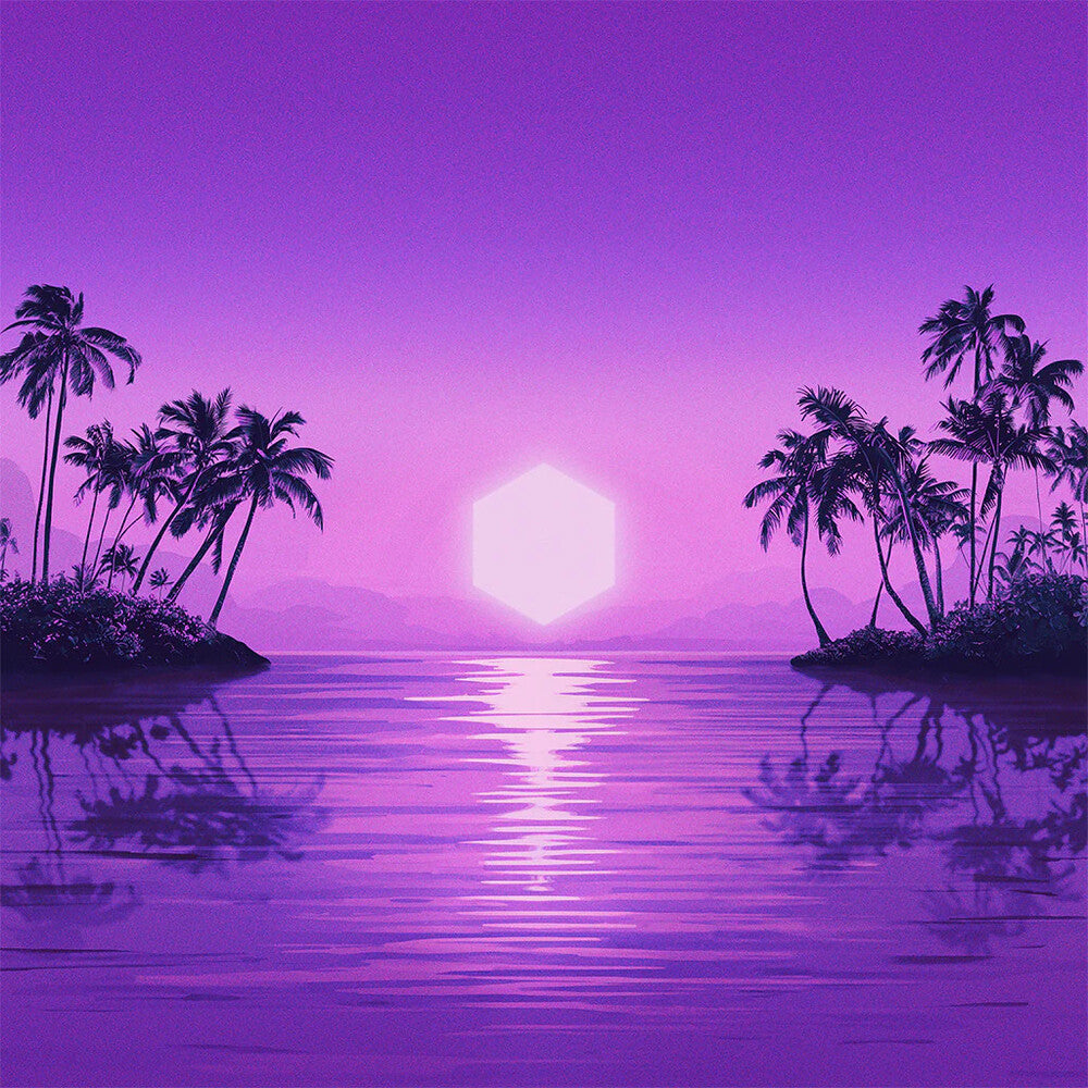the album cover for Purple Disco Machine - Paradise [Limited Edition] (Ger)