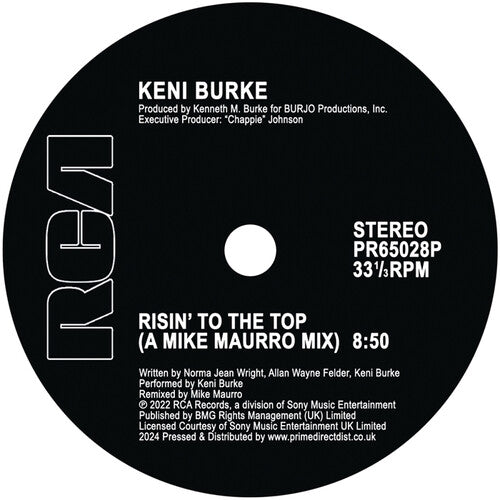 Risin' To The Top (Mike Maurro Mix) (Vinyl)