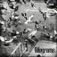 the album cover for Kilograms - Every Street / Drop That Guff