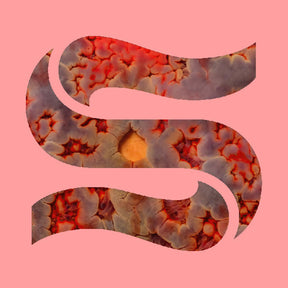 the album cover for Kaitlyn Smith  Aurelia / Goddard,Joe - Neptunes [Download Included]