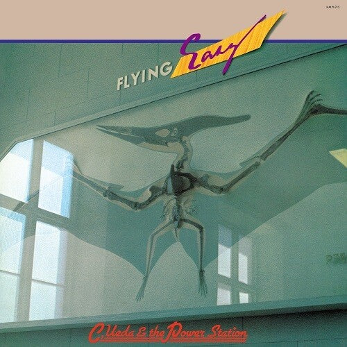 Flying Easy (Vinyl)