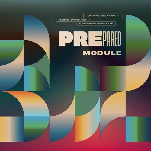 Module (Vinyl)