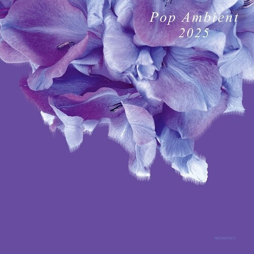 Pop Ambient 2025 (Vinyl)