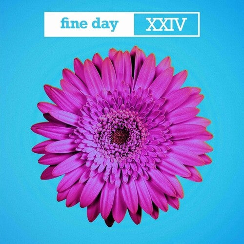 Fine Day XXIV (Vinyl)