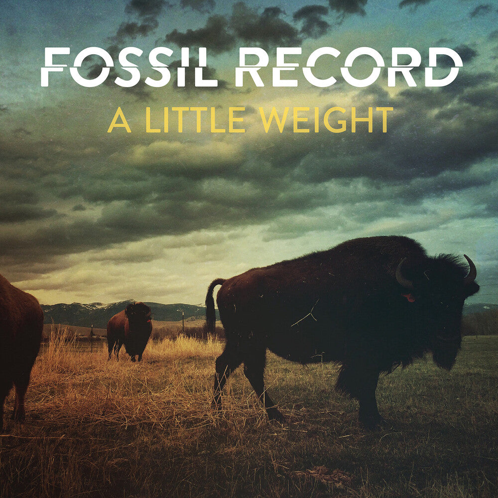 the album cover for Fossil Record - Little Weight