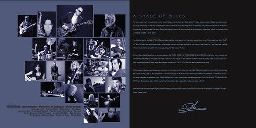 A Shade of Blues - Blue (Vinyl)