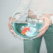 the album cover for fish narc - Frog Song